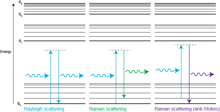 Energy diagram showing Rayleigh and Raman scattering
