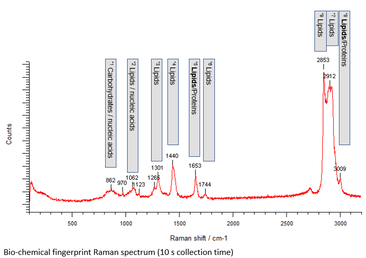 Biochemical fingerprint Raman spectrum