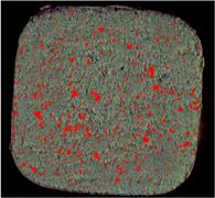 Raman image from a sectioned pharmaceutical tablet showing drug (red)
